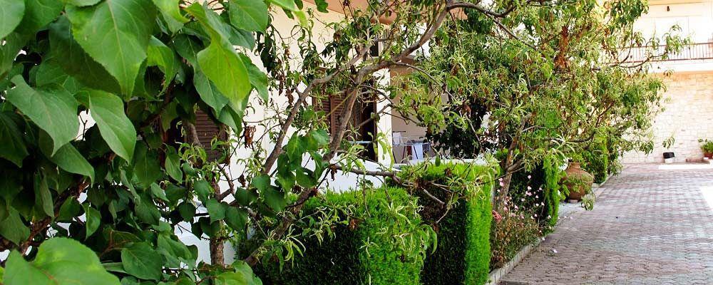 كريوبيجي Skentos Hotel المظهر الخارجي الصورة